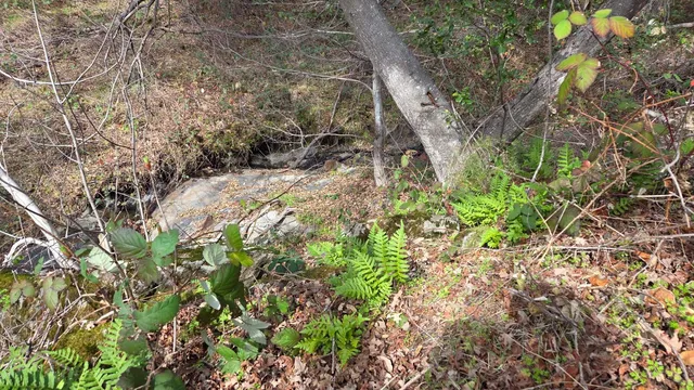 $1,250,000 | 0 Palace Lane, Placerville, CA 95667