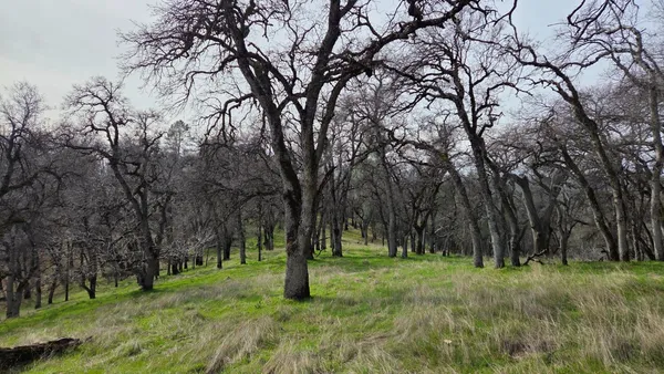 a view of a park