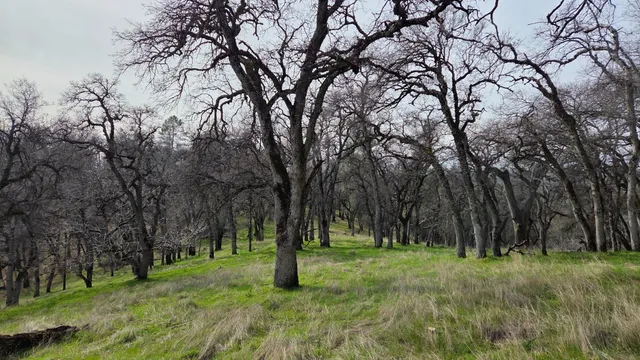 $1,250,000 | 0 Palace Lane, Placerville, CA 95667