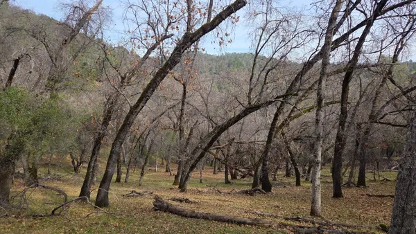 a view of mountain view with lots of trees