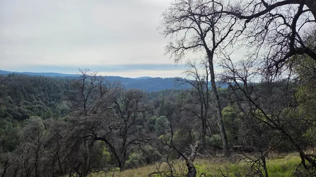 $1,250,000 | 0 Palace Lane, Placerville, CA 95667