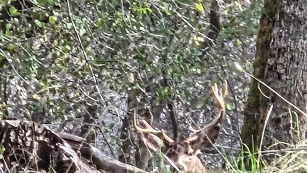 $1,250,000 | 0 Palace Lane, Placerville, CA 95667