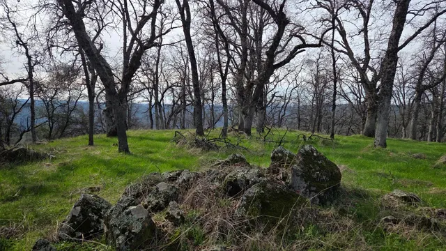 $1,250,000 | 0 Palace Lane, Placerville, CA 95667