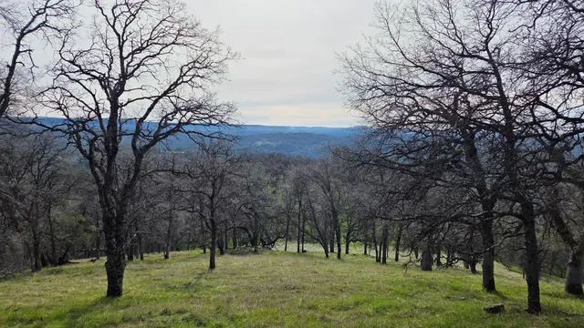 $1,250,000 | 0 Palace Lane, Placerville, CA 95667