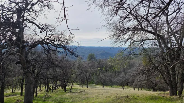 $1,250,000 | 0 Palace Lane, Placerville, CA 95667