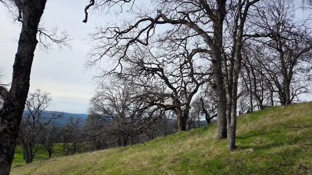 $1,250,000 | 0 Palace Lane, Placerville, CA 95667