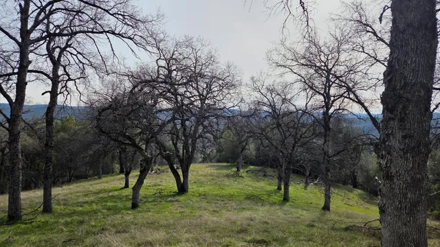 $1,250,000 | 0 Palace Lane, Placerville, CA 95667