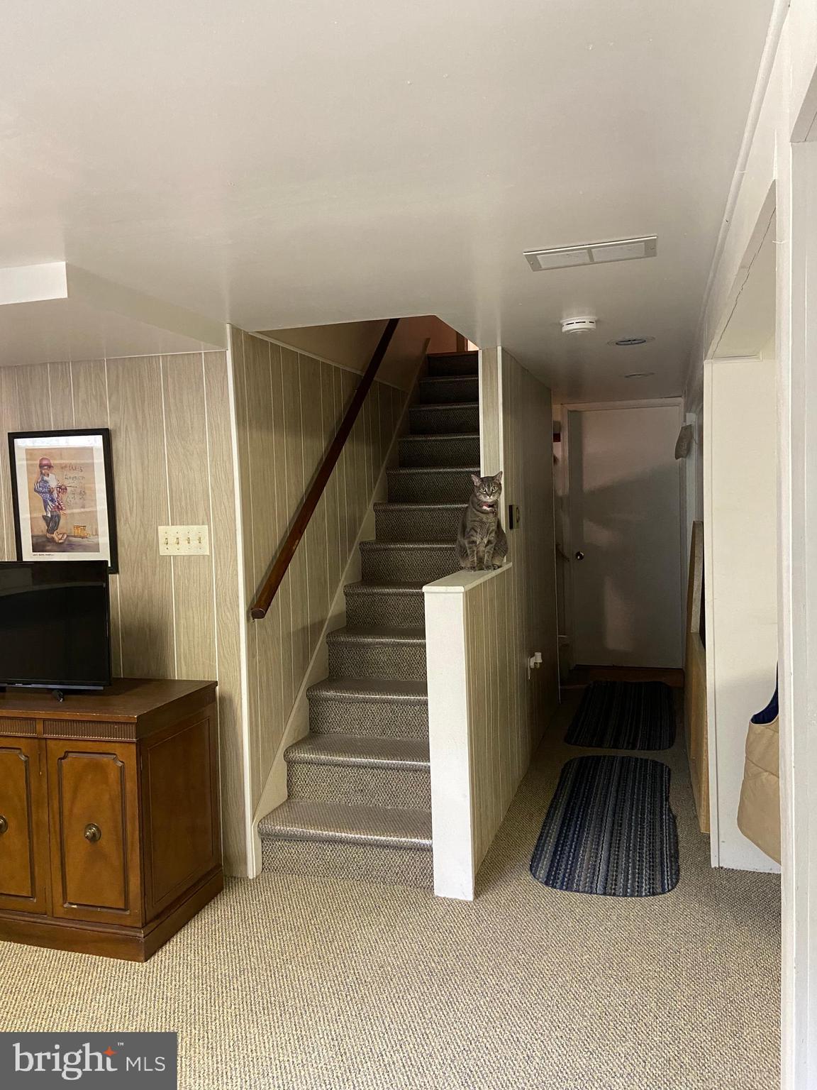 2420 Theodore Road North East, MD 21901 - Photo 25 of 44 Gallery Image 25