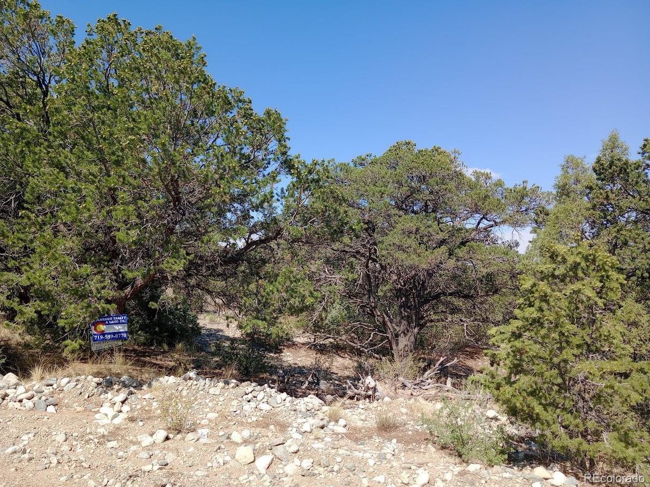 210 Big Bear Road Mosca, CO 81146 - Photo 8 of 10