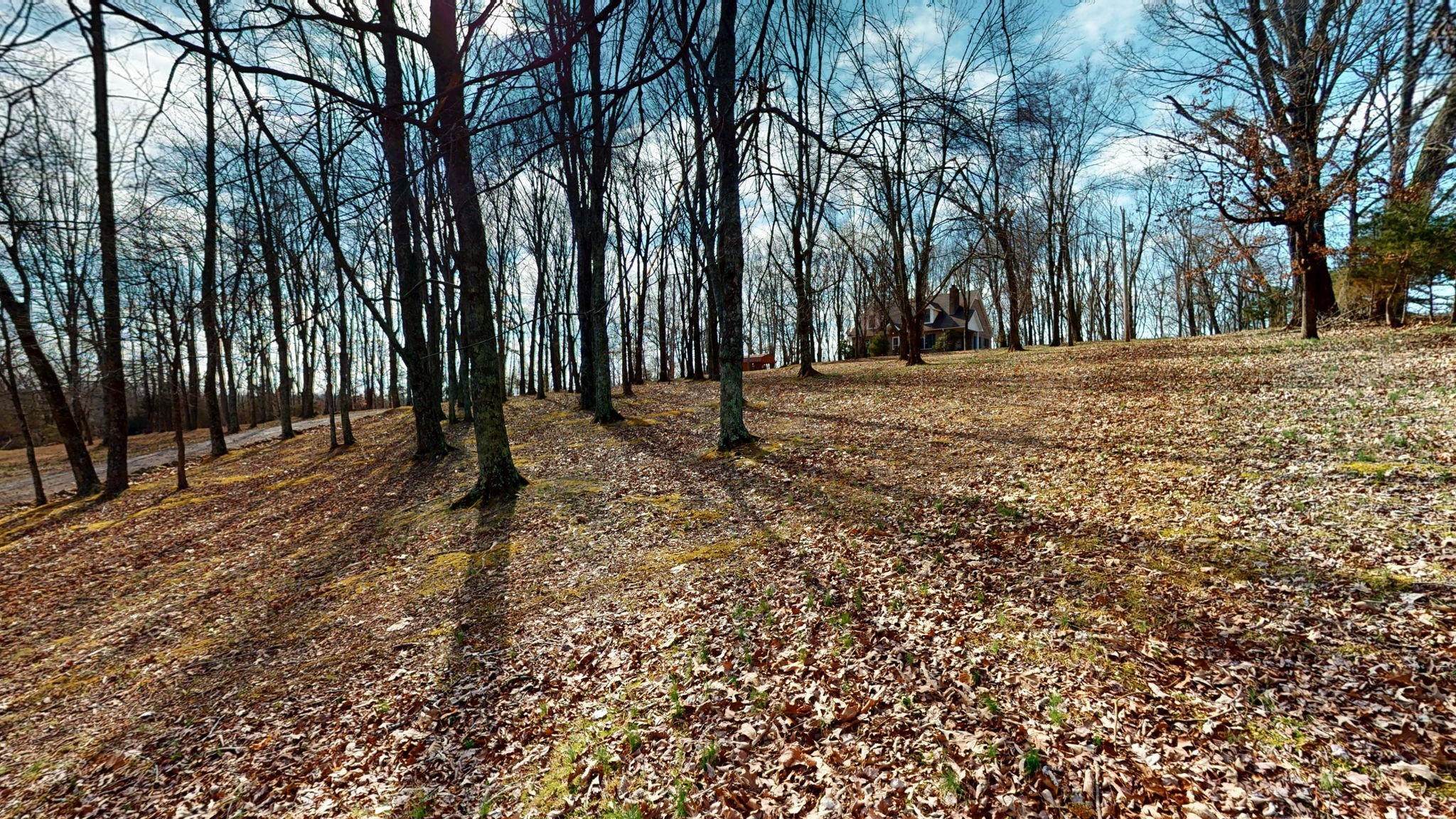 3883 Dobbins Pike Portland, TN 37148 - Photo 37 of 73