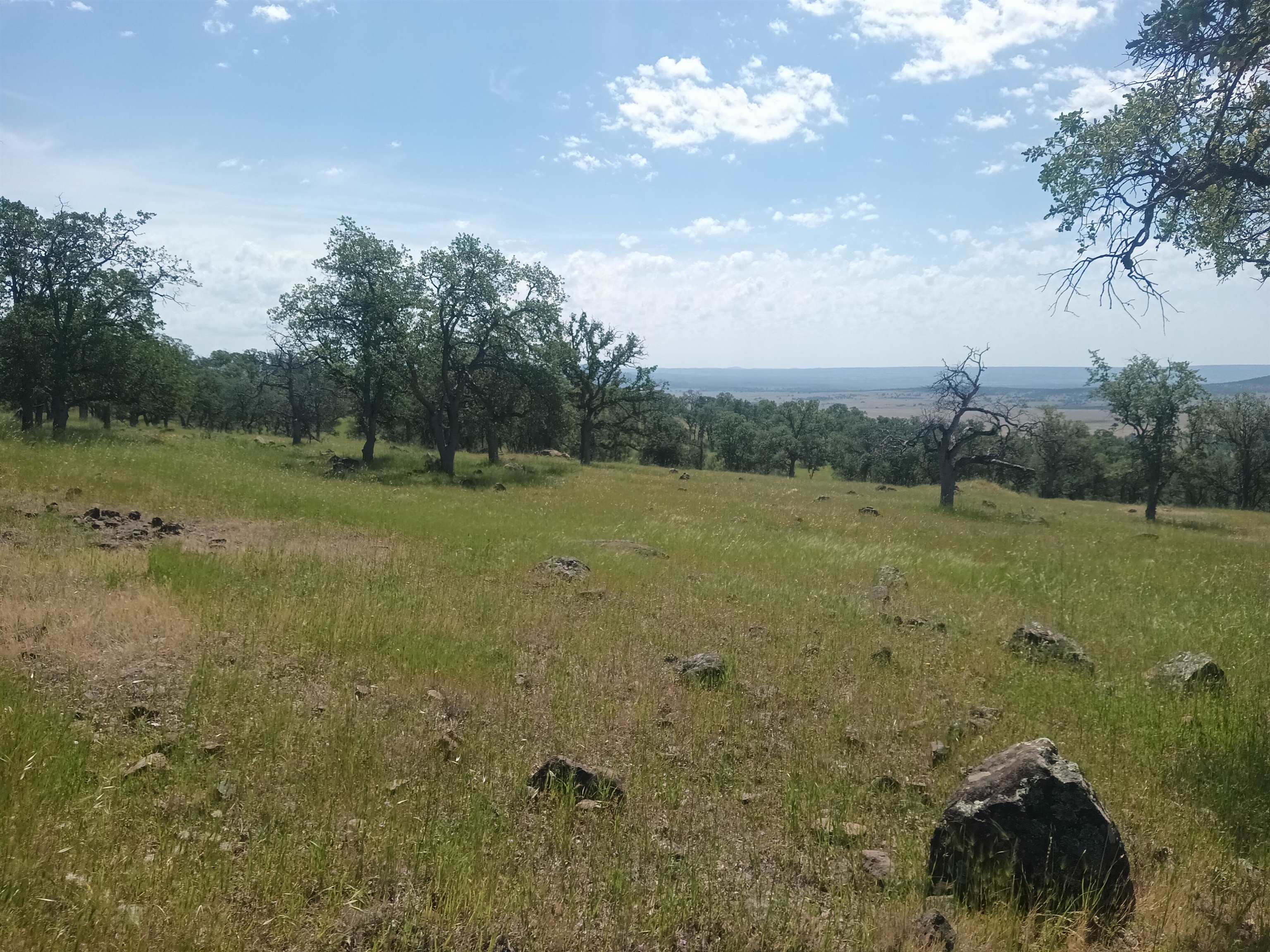 200 Wildcat Road Shingletown, CA 96007 - Photo 2 of 4