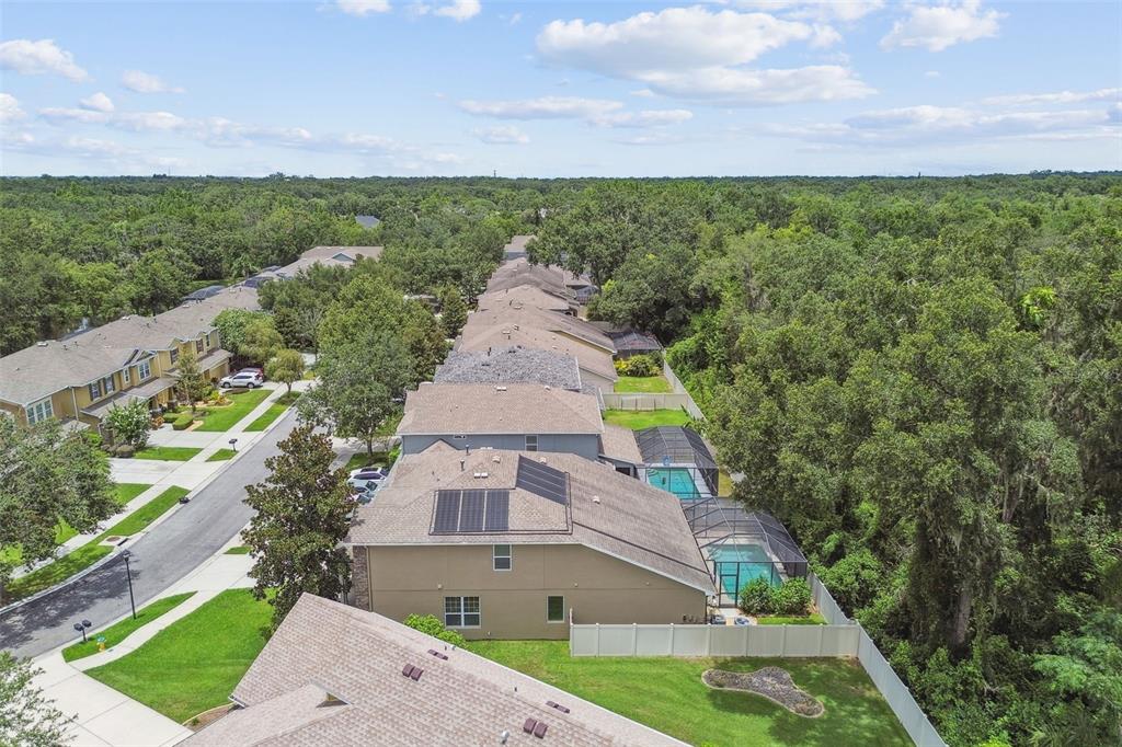 3530 Brook Crossing Drive Brandon, FL 33511 - Photo 76 of 94