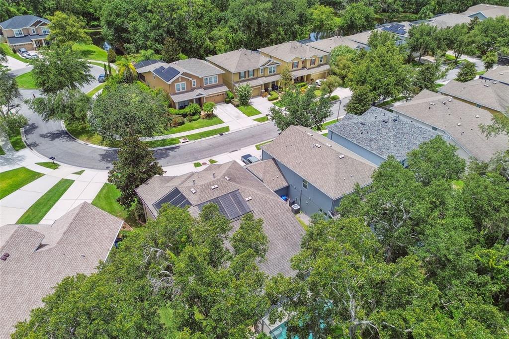 3530 Brook Crossing Drive Brandon, FL 33511 - Photo 77 of 94