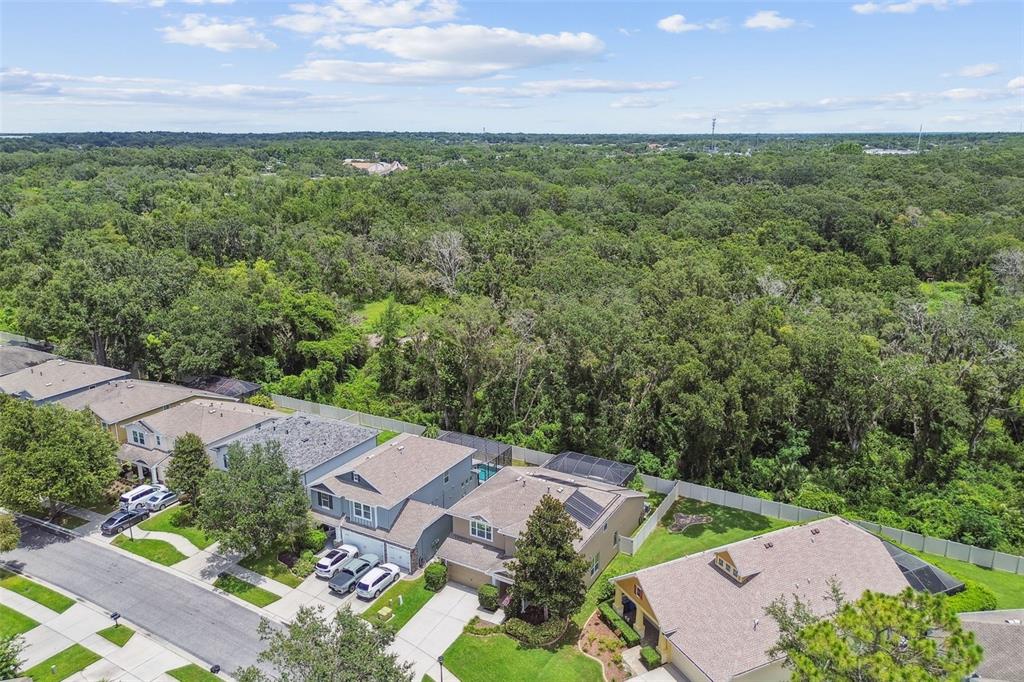 3530 Brook Crossing Drive Brandon, FL 33511 - Photo 83 of 94