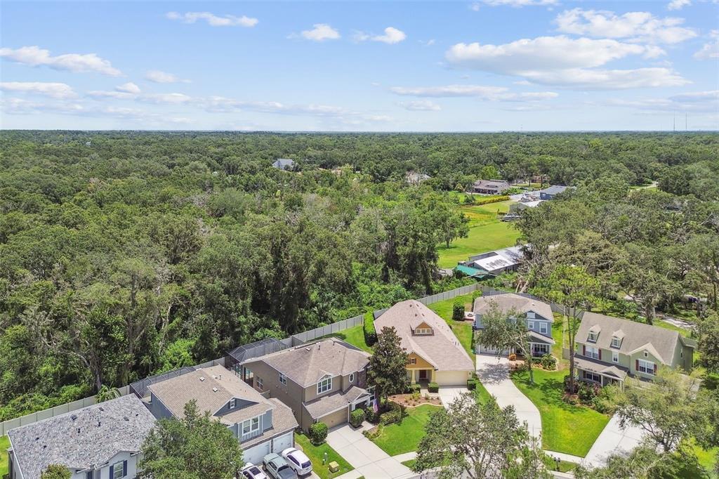 3530 Brook Crossing Drive Brandon, FL 33511 - Photo 85 of 94