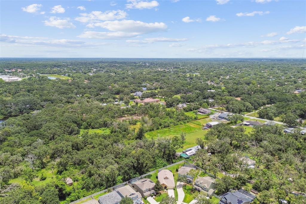 3530 Brook Crossing Drive Brandon, FL 33511 - Photo 86 of 94