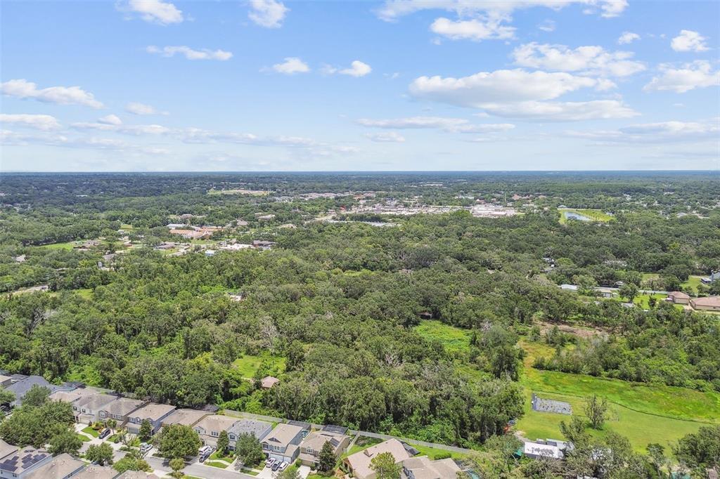 3530 Brook Crossing Drive Brandon, FL 33511 - Photo 88 of 94