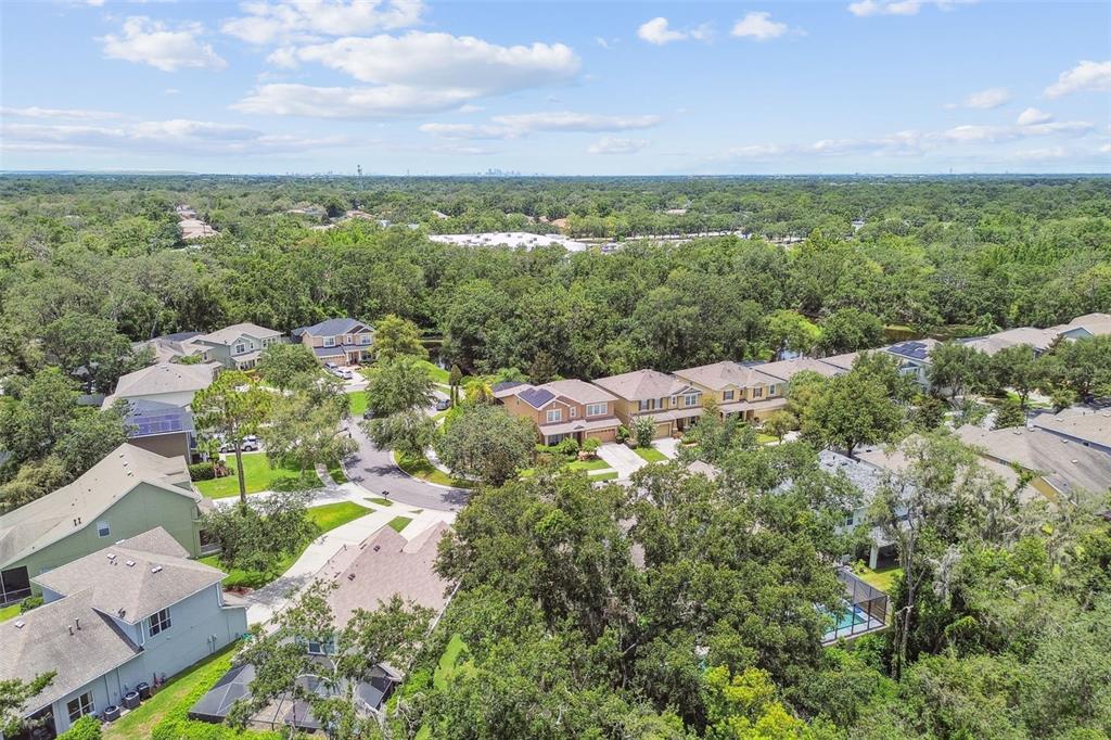 3530 Brook Crossing Drive Brandon, FL 33511 - Photo 90 of 94