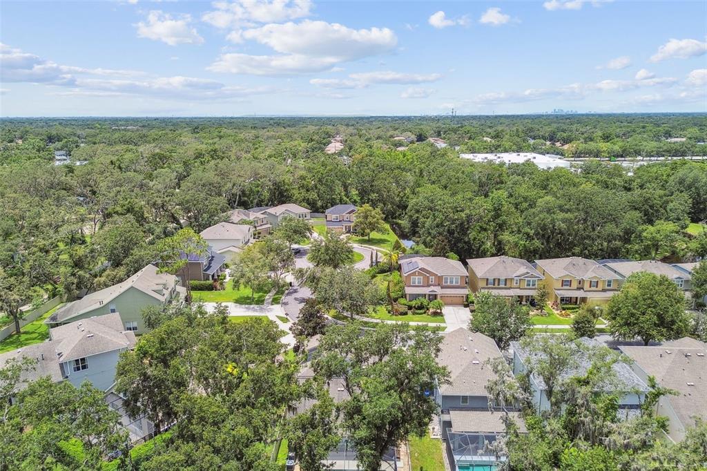 3530 Brook Crossing Drive Brandon, FL 33511 - Photo 91 of 94