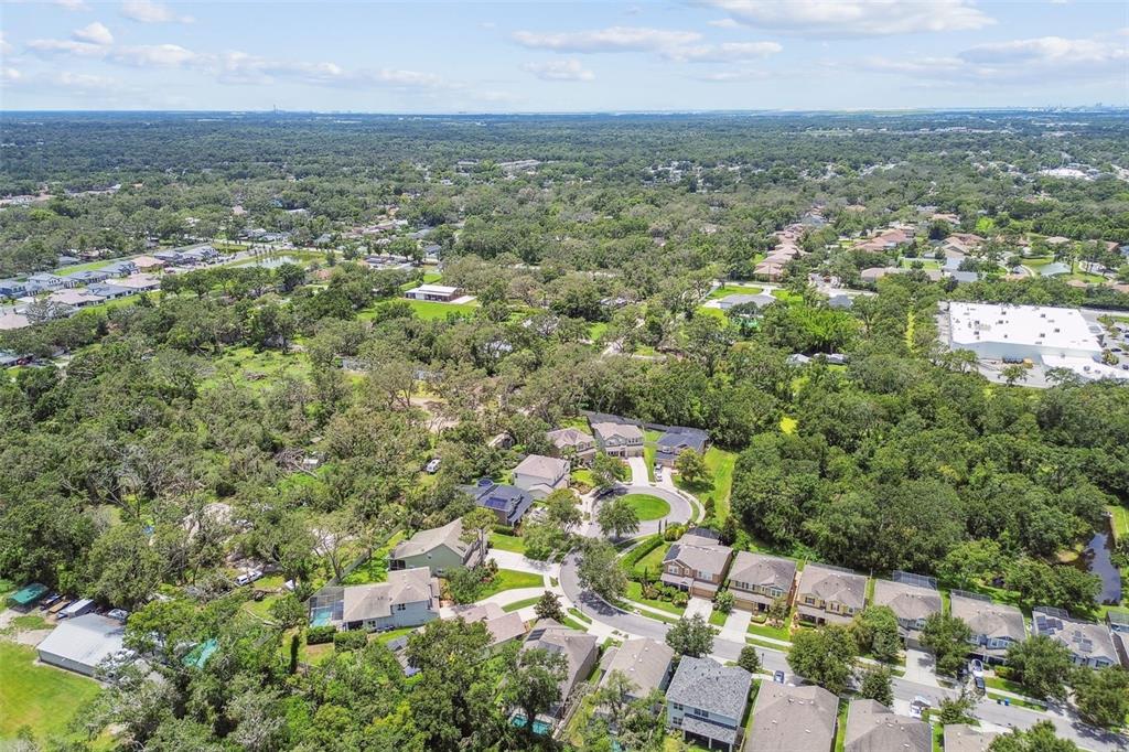 3530 Brook Crossing Drive Brandon, FL 33511 - Photo 92 of 94