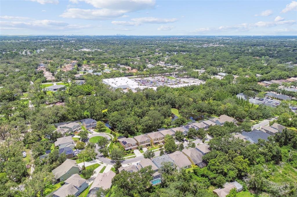 3530 Brook Crossing Drive Brandon, FL 33511 - Photo 94 of 94