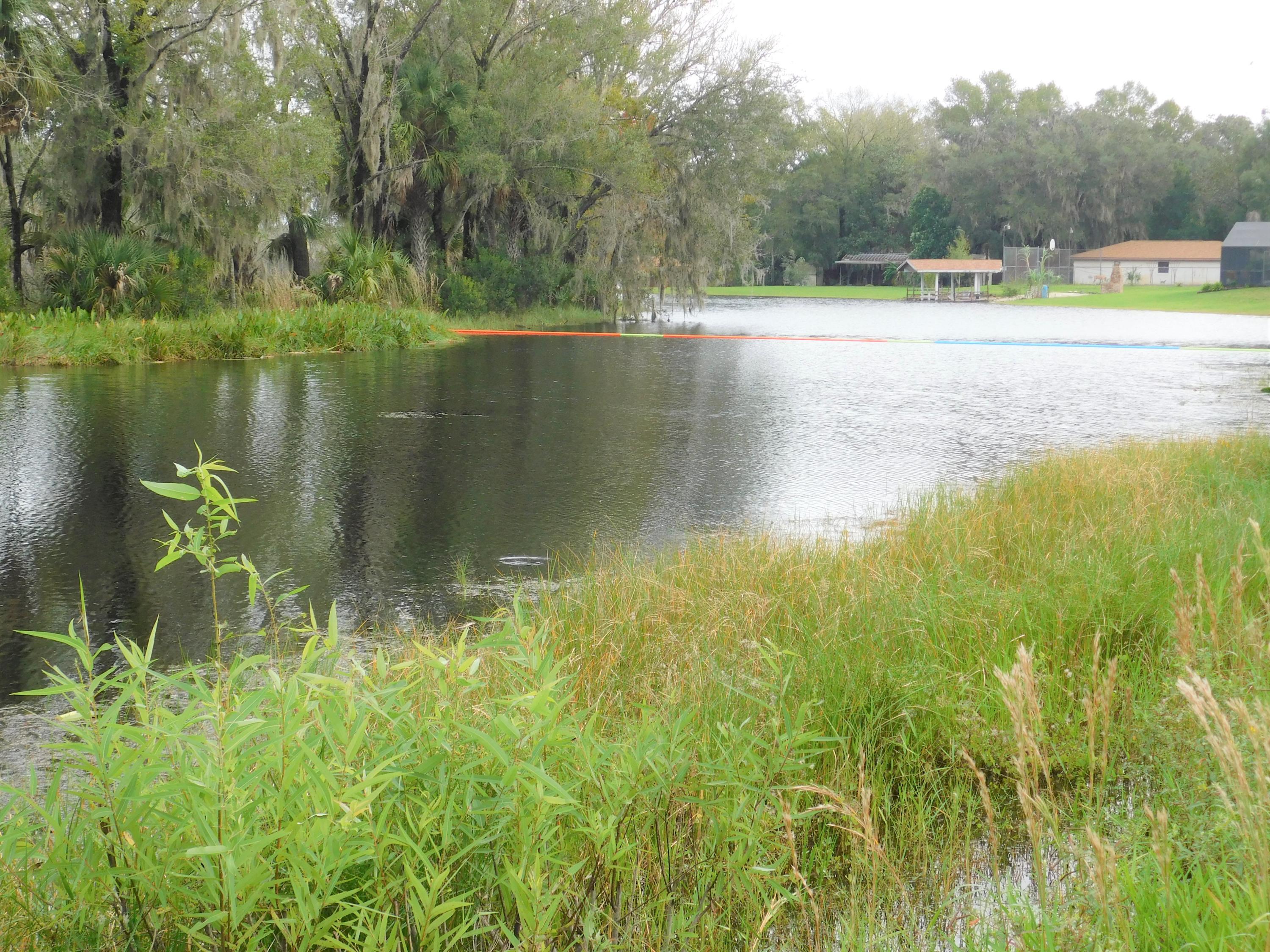 7729 East Gospel Island Road Inverness, FL 34450 - Photo 6 of 22 WATER VIEW