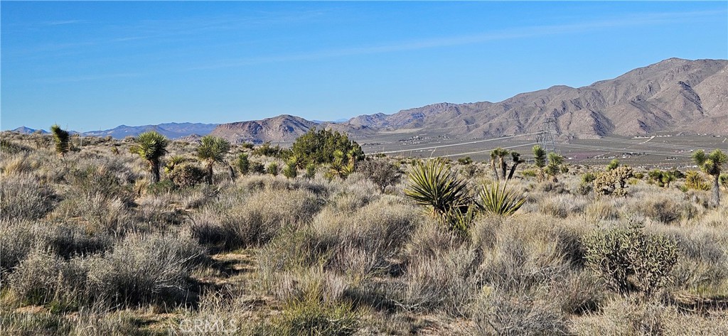 26845 Grandview Road Lucerne Valley, CA 92356 - Photo 4 of 5 a view of a house with a mountain and a forest