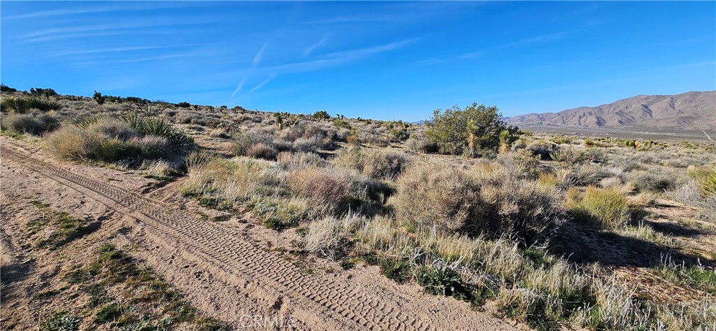 26845 Grandview Road Lucerne Valley, CA 92356 - Photo 5 of 5 a view of a sky