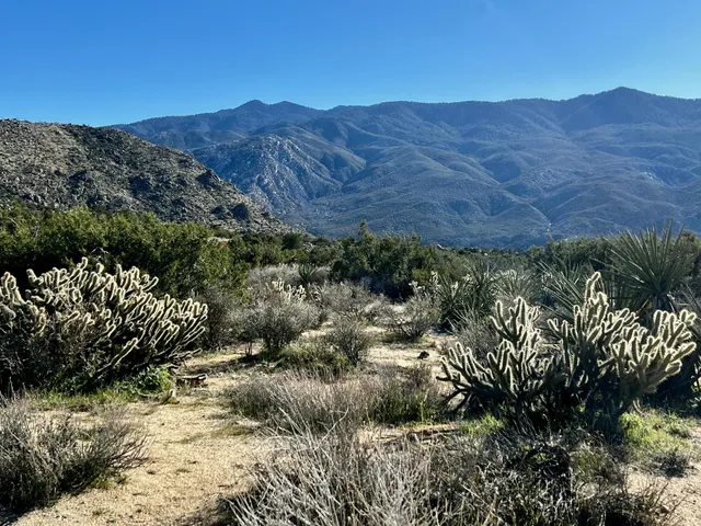 $65,000 | 0 Apn, Mountain Center, CA 92561