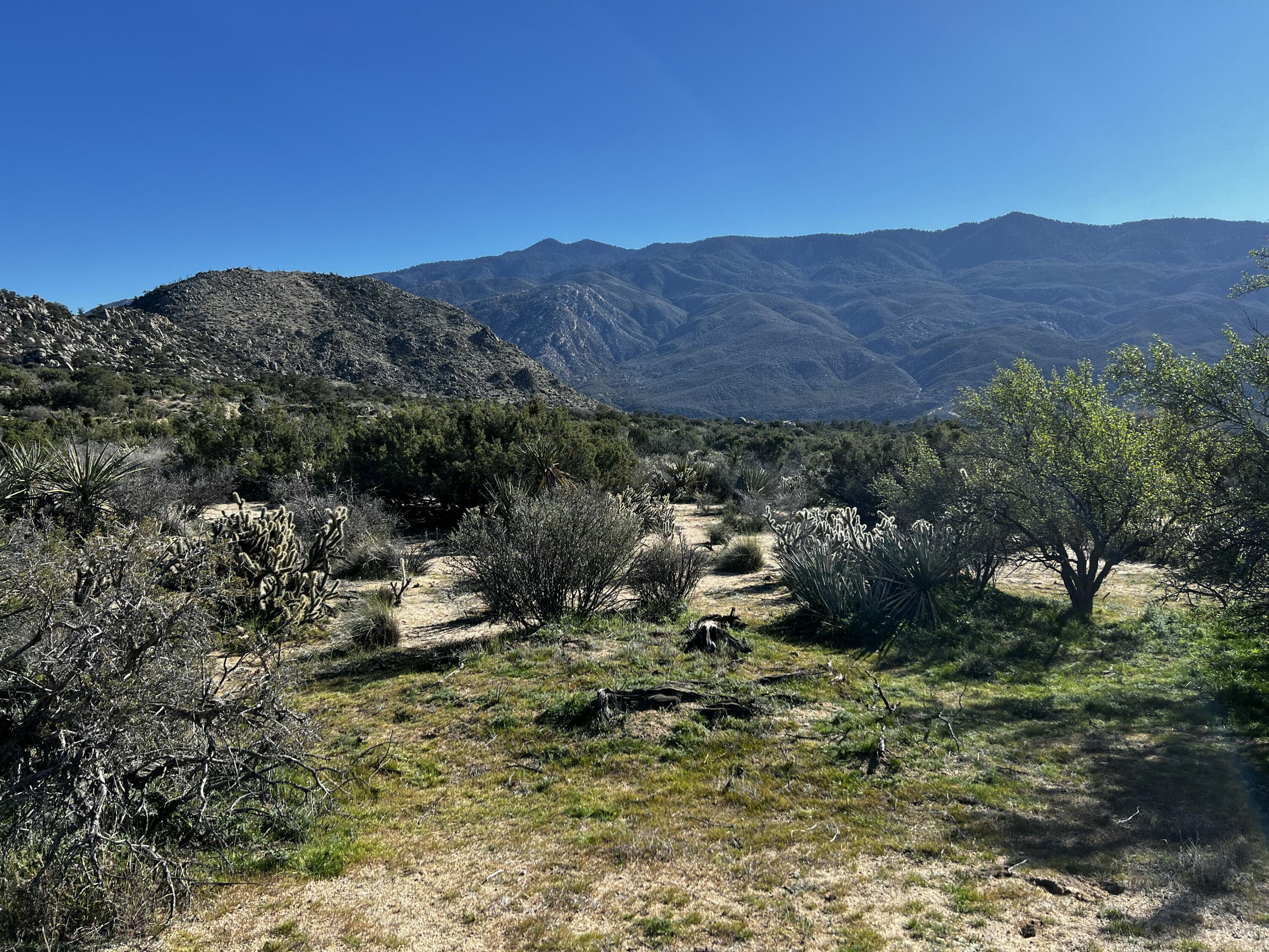 0 Apn Mountain Center, CA 92561 - Photo 11 of 16 a view of a lush green field with mountains in the background