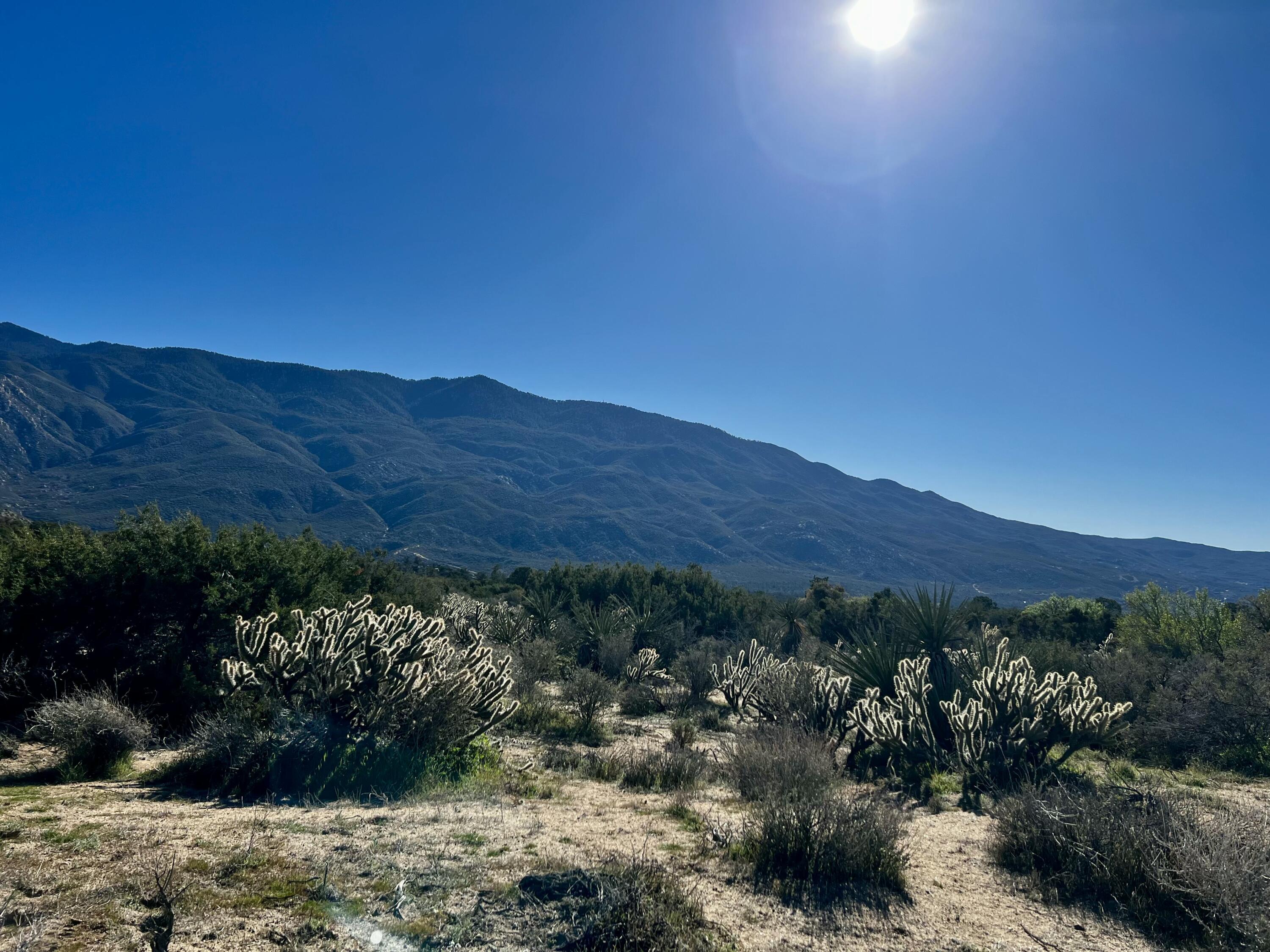 0 Apn Mountain Center, CA 92561 - Photo 2 of 16 a view of a lush green field with mountains in the background