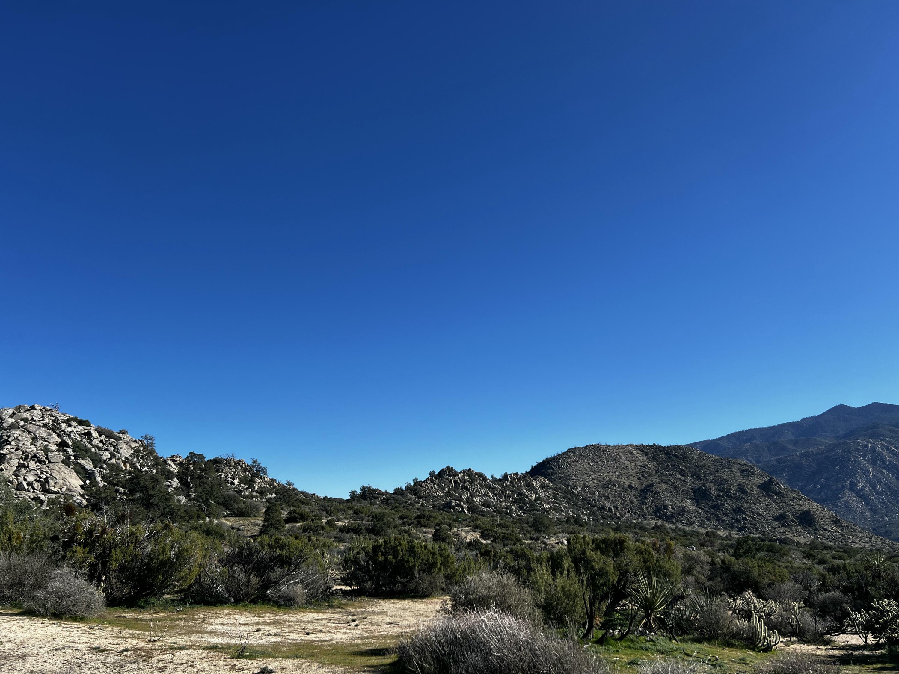 0 Apn Mountain Center, CA 92561 - Photo 3 of 16 IMG_4690