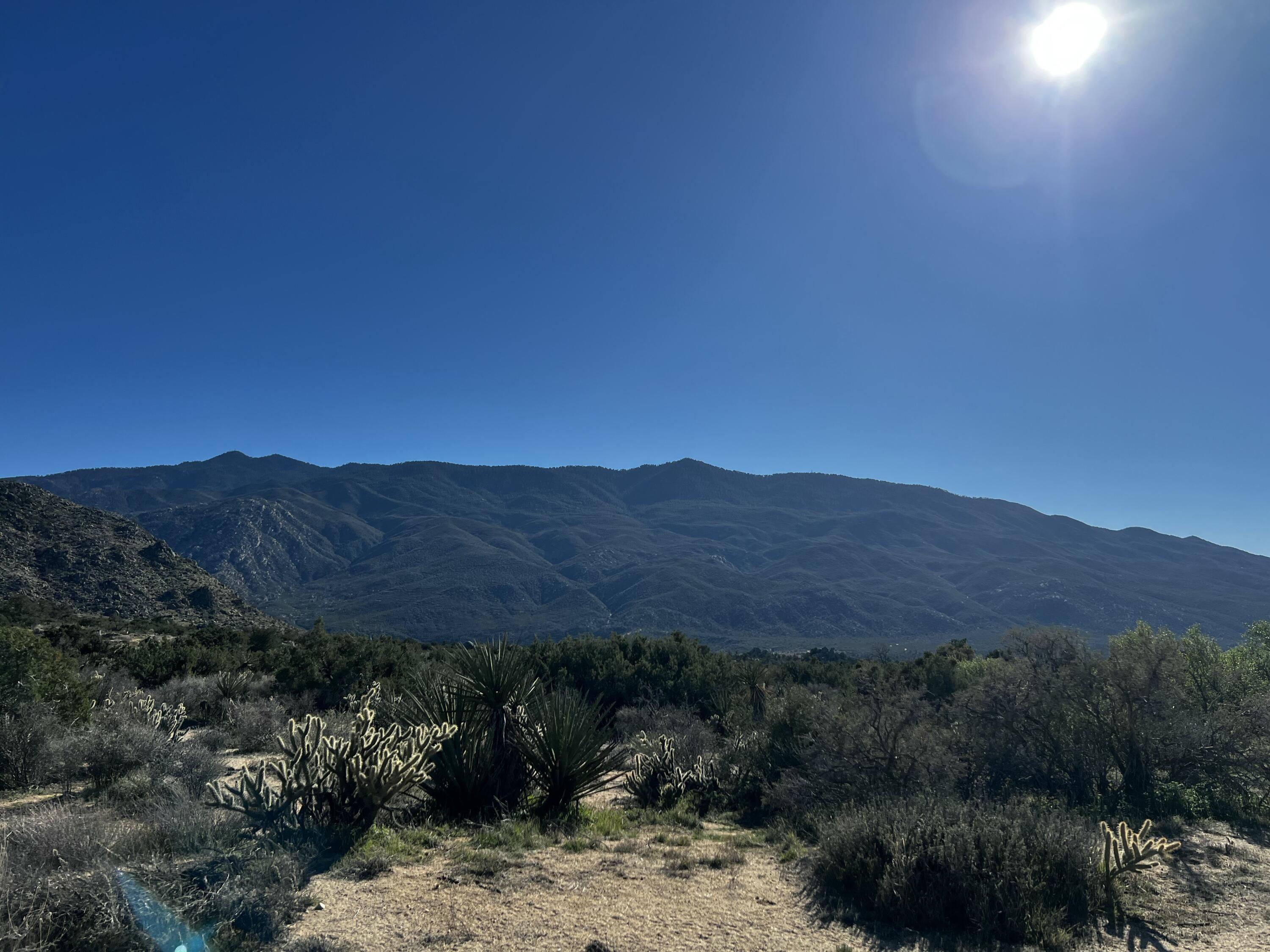 0 Apn Mountain Center, CA 92561 - Photo 6 of 16 a view of a backyard with green space