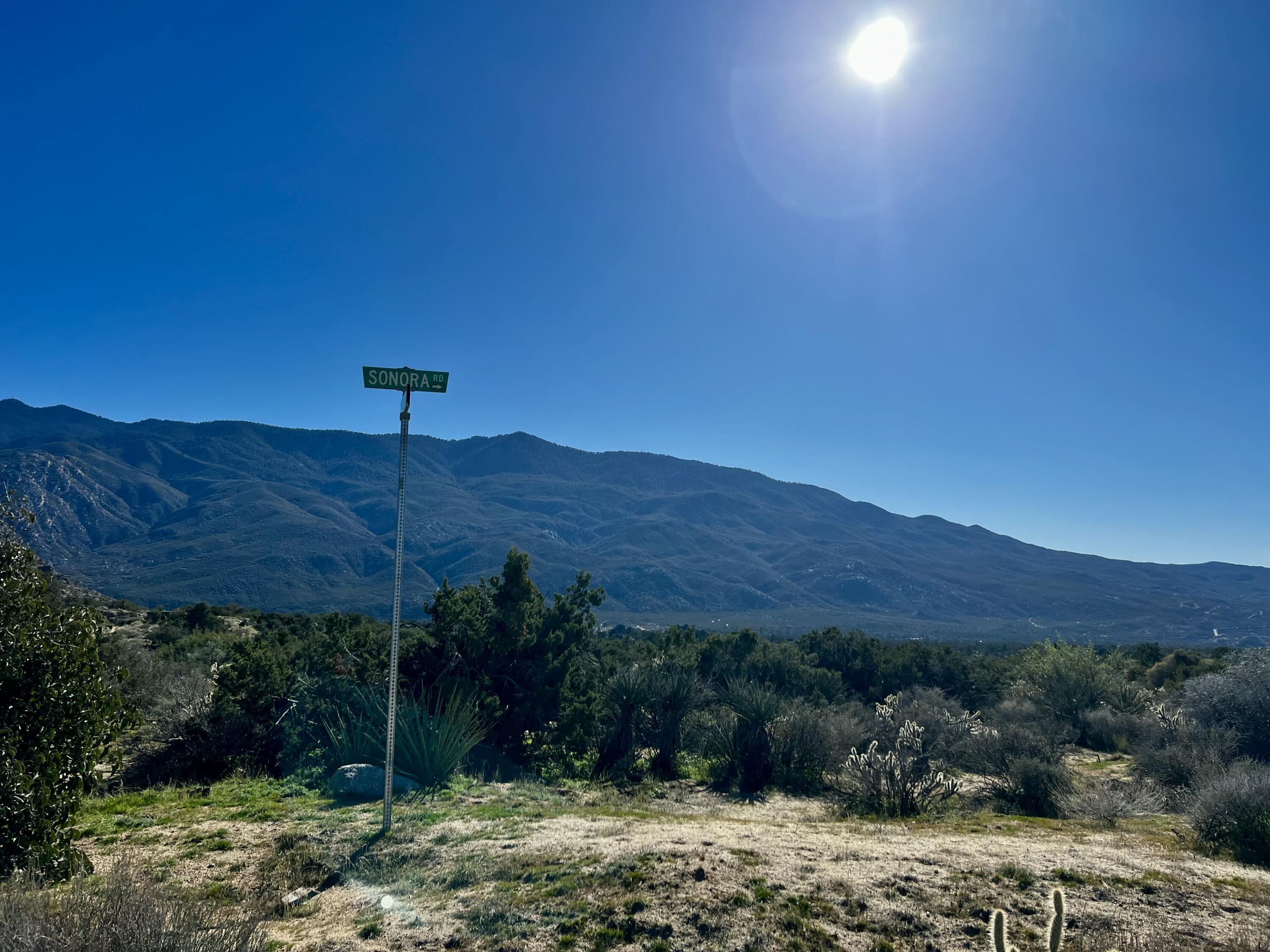 0 Apn Mountain Center, CA 92561 - Photo 7 of 16 a view of a backyard