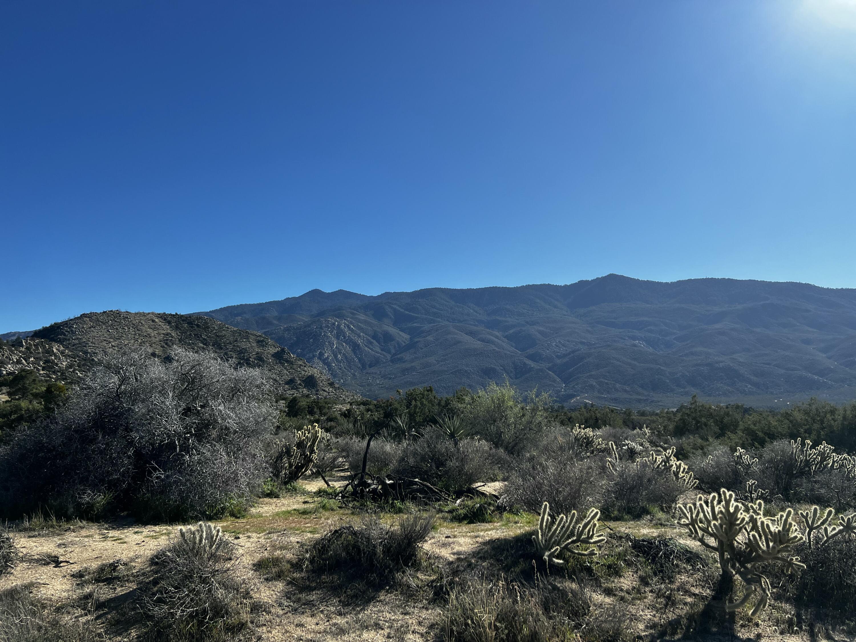 0 Apn Mountain Center, CA 92561 - Photo 9 of 16 a view of a forest with mountains in the background