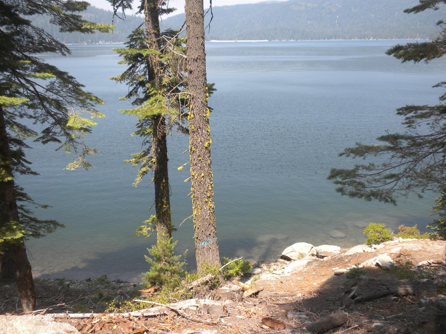 822 Mile High Road Bucks Lake, CA 95971 - Photo 1 of 8