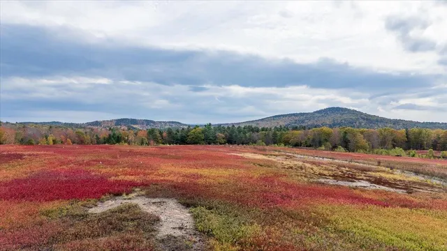 $799,000 | 423 Beech Hill Road, Northport, ME 04849