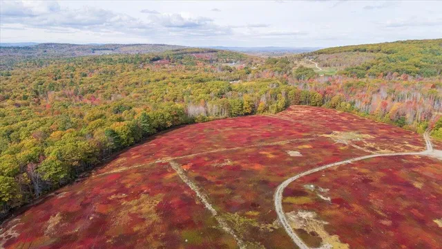 $799,000 | 423 Beech Hill Road, Northport, ME 04849