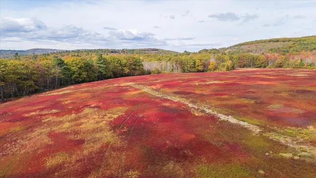 $799,000 | 423 Beech Hill Road, Northport, ME 04849