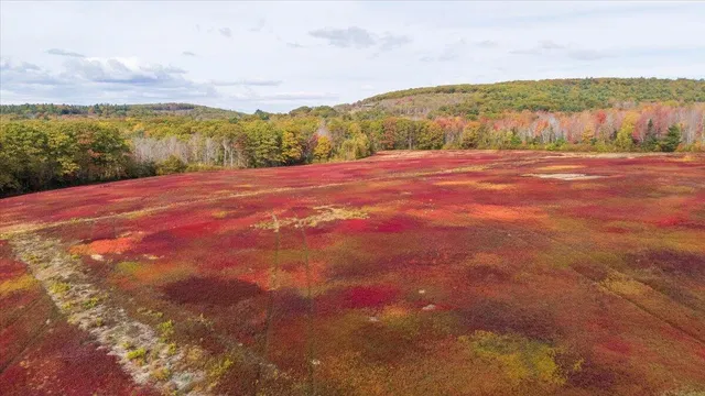 $799,000 | 423 Beech Hill Road, Northport, ME 04849