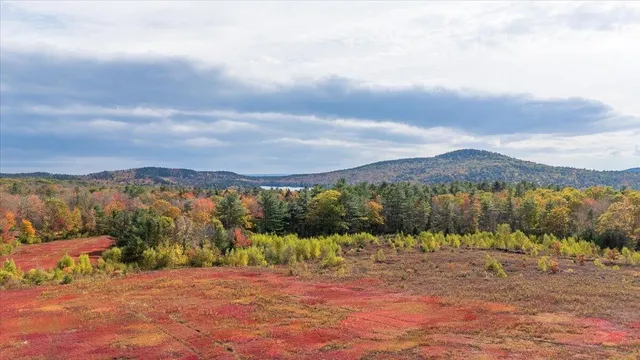 $799,000 | 423 Beech Hill Road, Northport, ME 04849