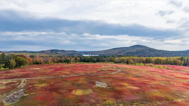 $799,000 | 423 Beech Hill Road, Northport, ME 04849