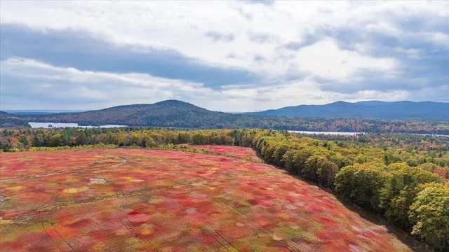 $799,000 | 423 Beech Hill Road, Northport, ME 04849