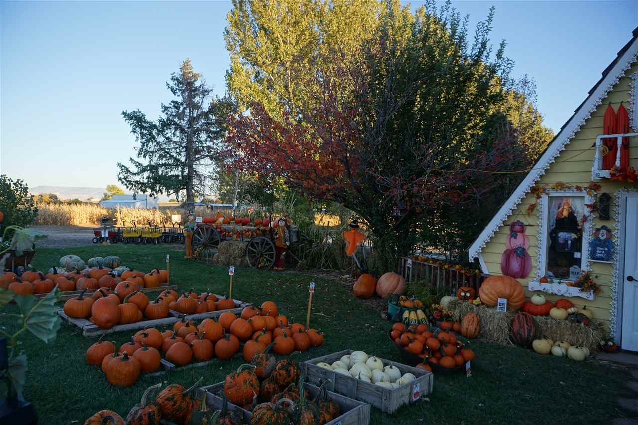 1360-18 18 1/2 Road Fruita, CO 81521 - Photo 25 of 38 Gallery Image 25