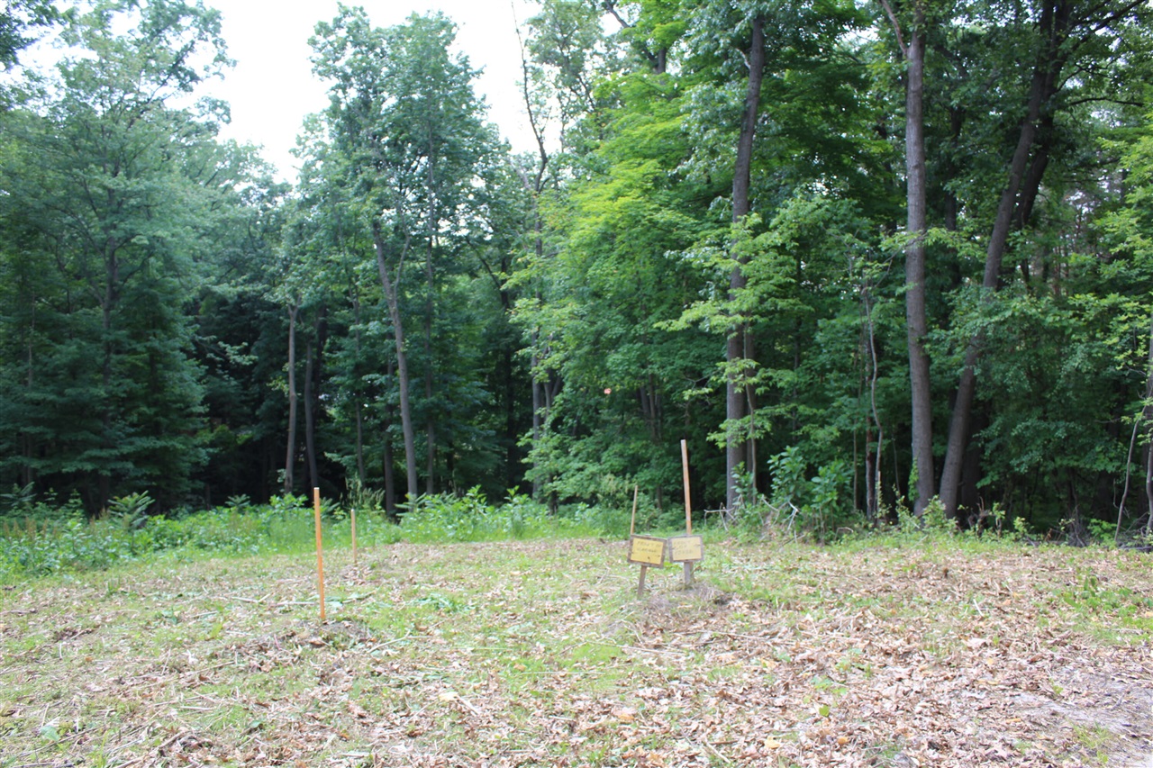 357 East North Street Portland, MI 48875 - Photo 20 of 32