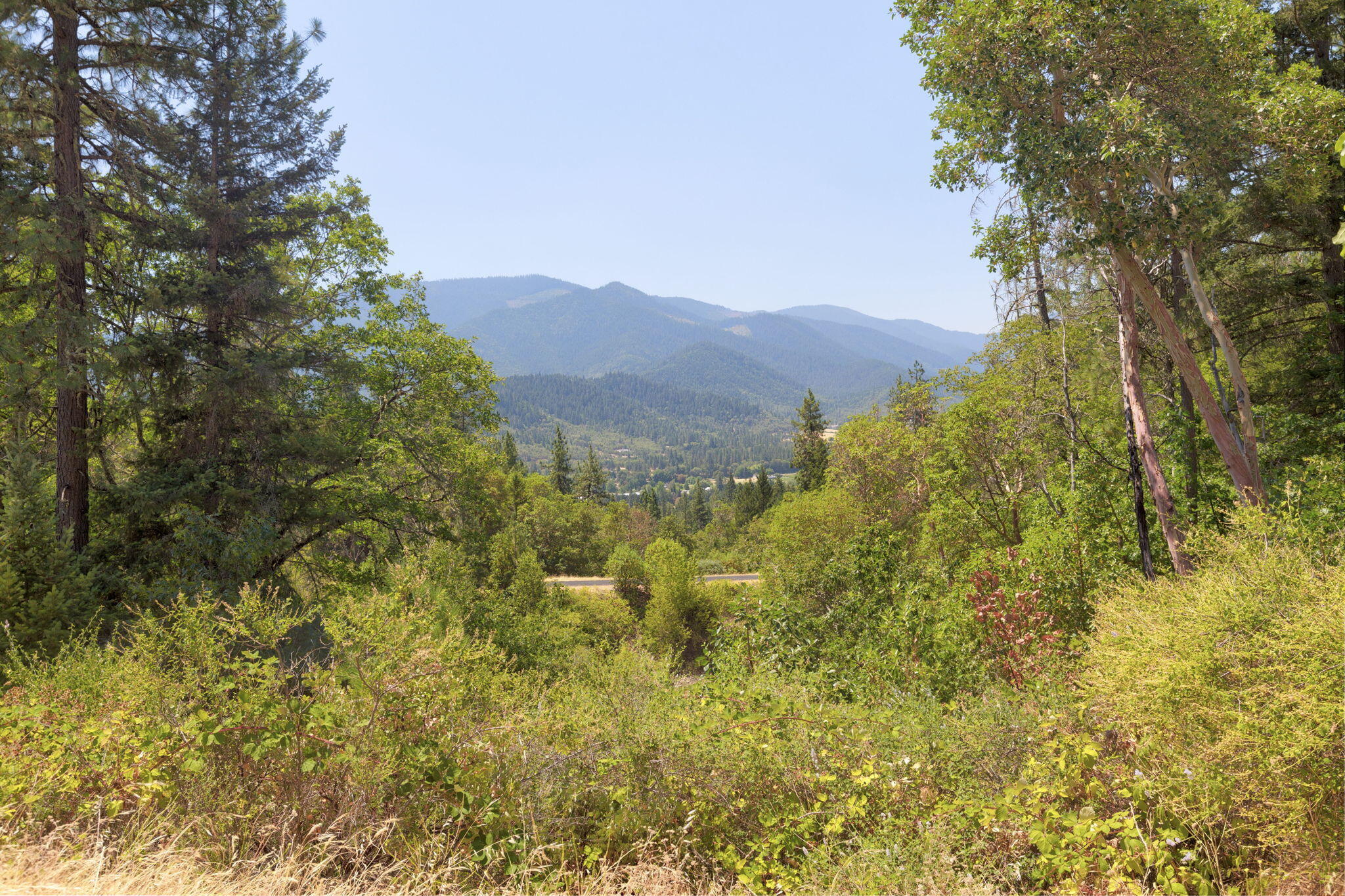 7304 North Applegate Road Grants Pass, OR 97527 - Photo 82 of 87 a view of a bunch of trees and bushes