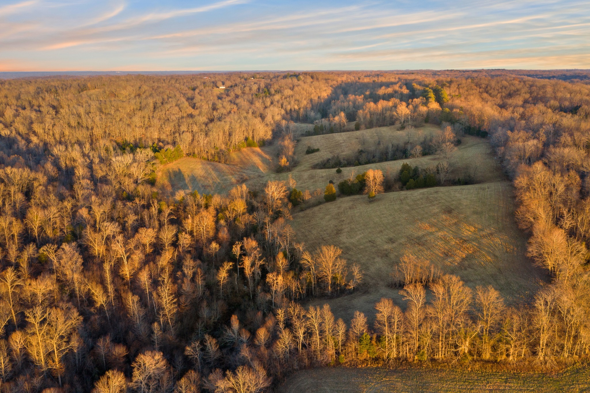 3001 Benton Ridge Road Palmyra, TN 37142 - Photo 3 of 6 a view of sky view