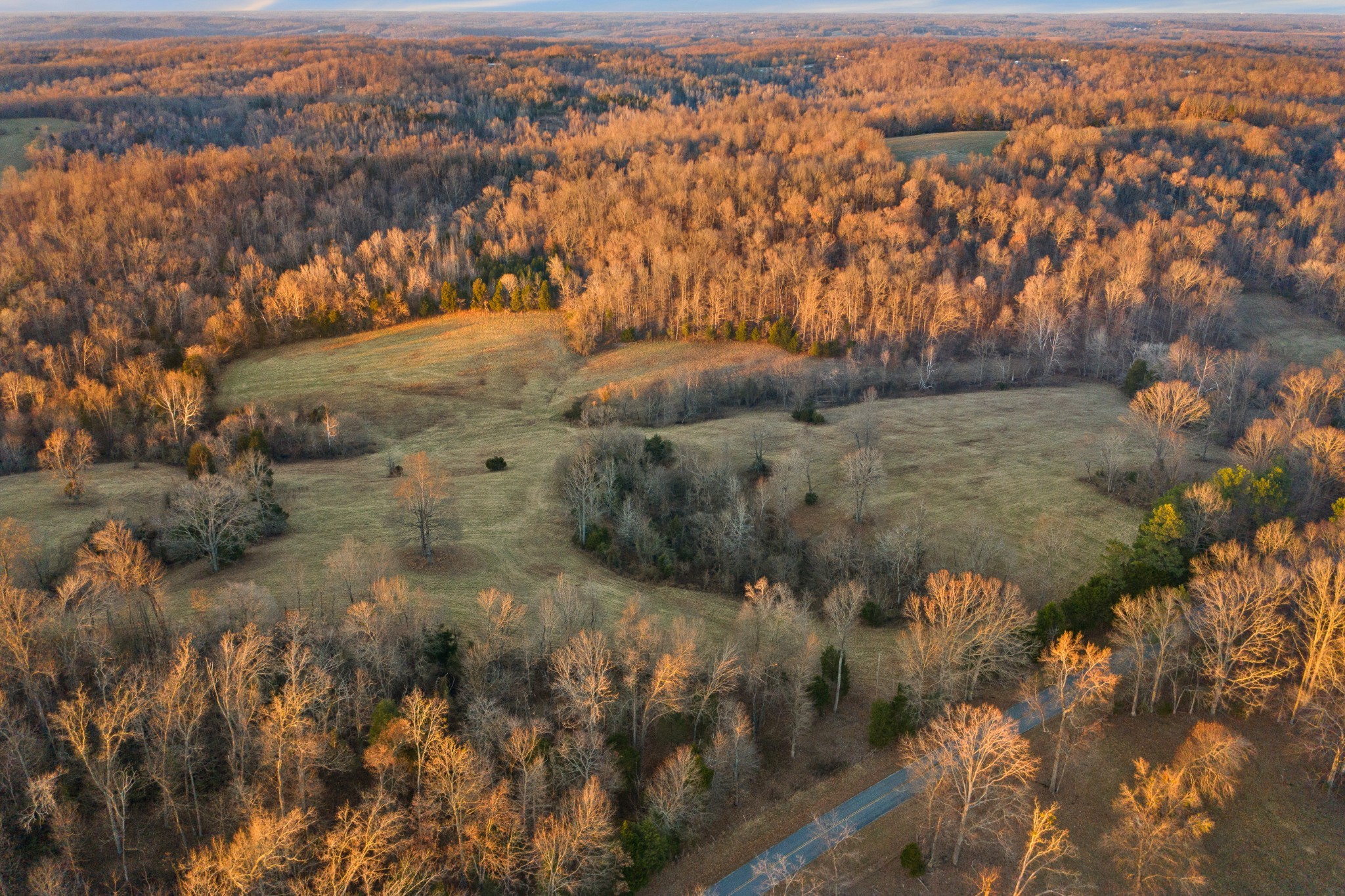 3001 Benton Ridge Road Palmyra, TN 37142 - Photo 4 of 6 a view of lot of trees and houses