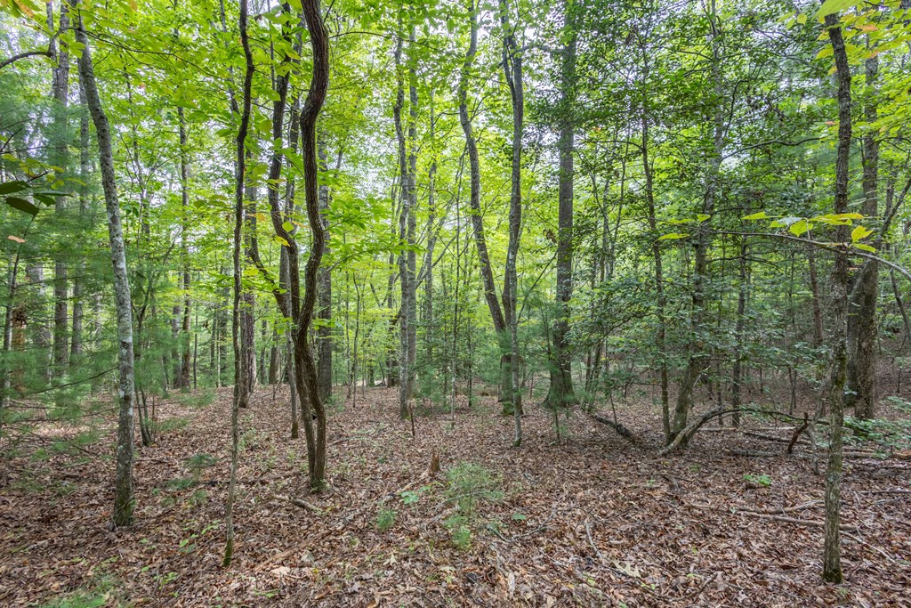2-ac Horvath Road Murphy, NC 28906 - Photo 2 of 12