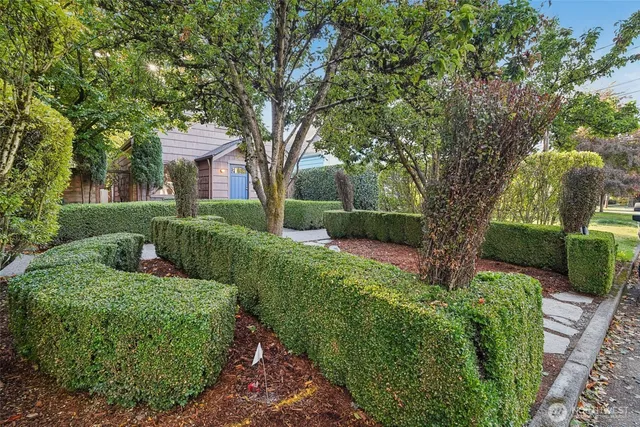 a view of a garden with a tree